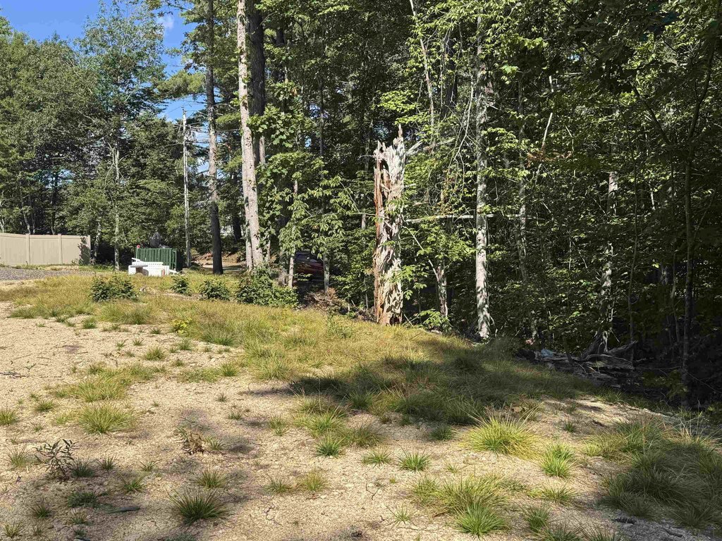 Picture 24