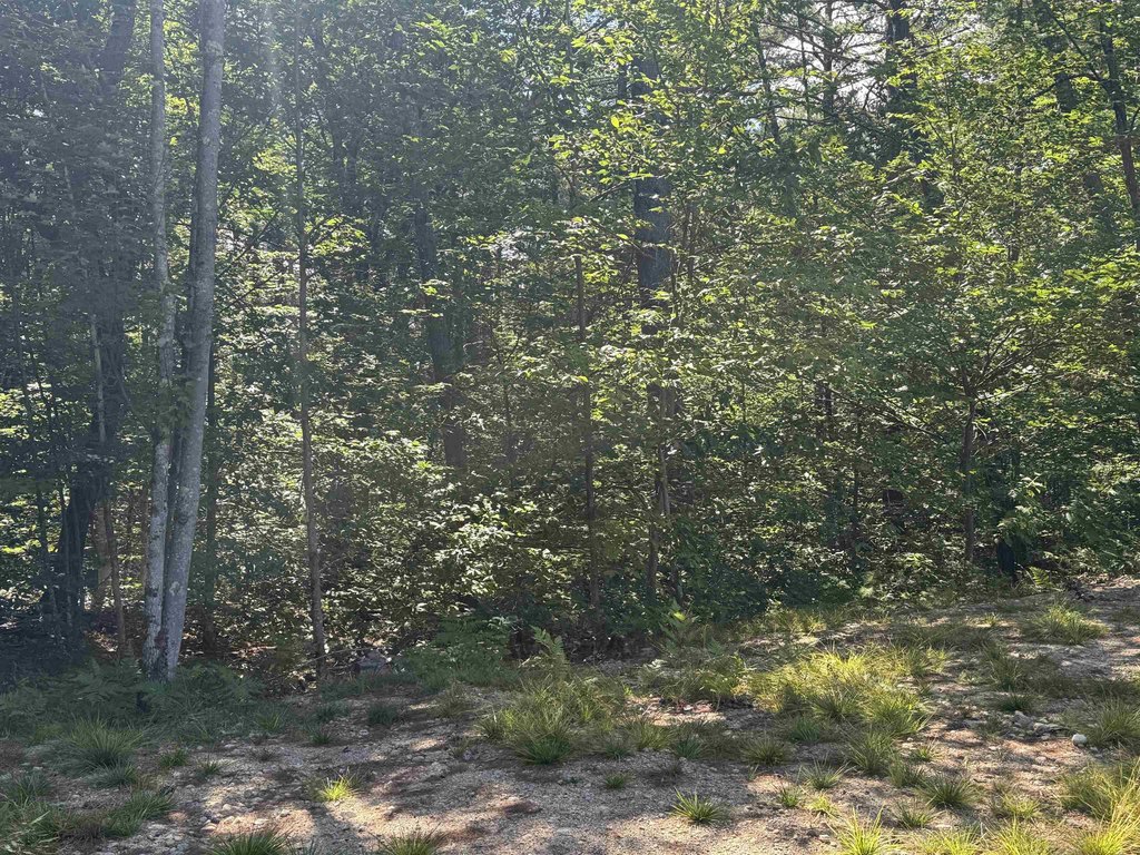 Picture 21