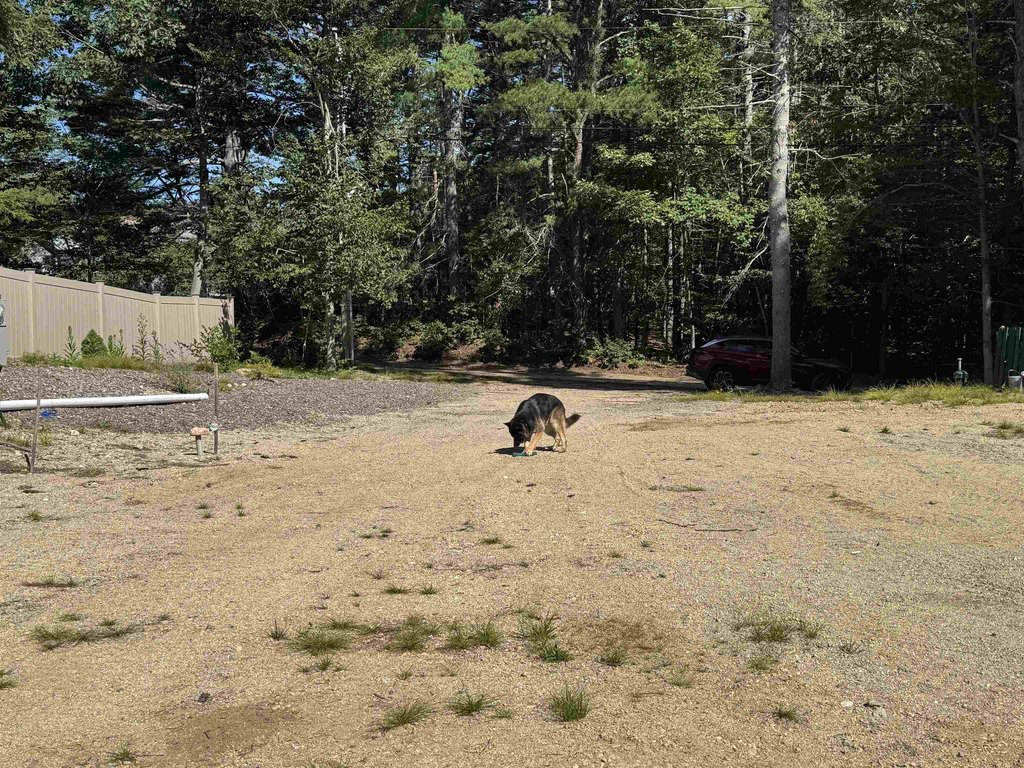 Picture 26