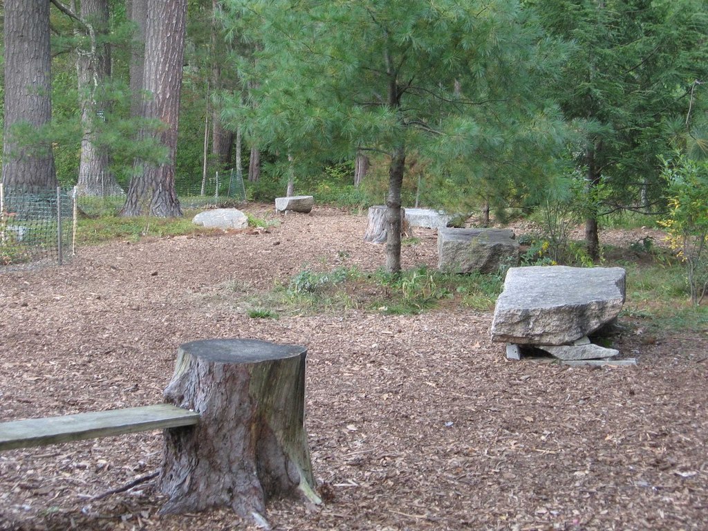 Picture 42