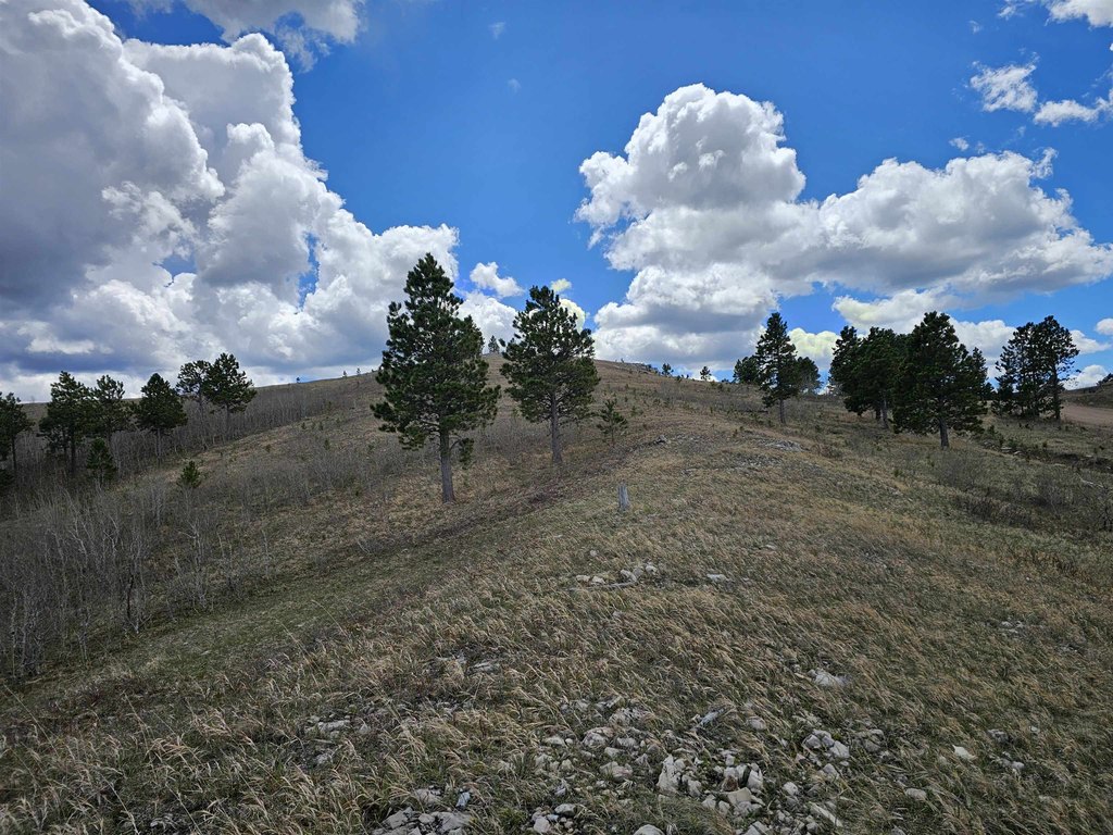 Picture 18