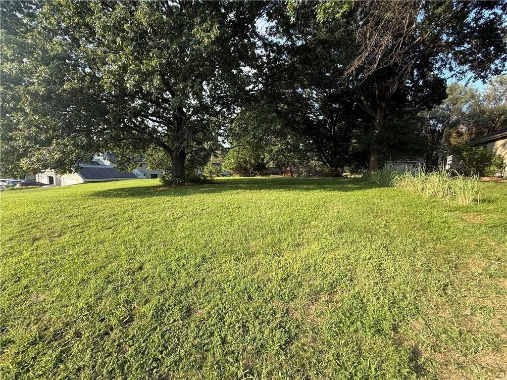 Picture 8