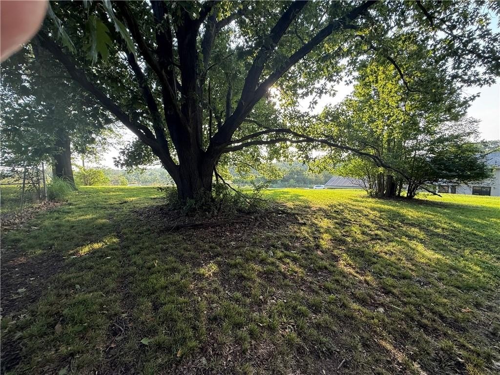 Picture 6