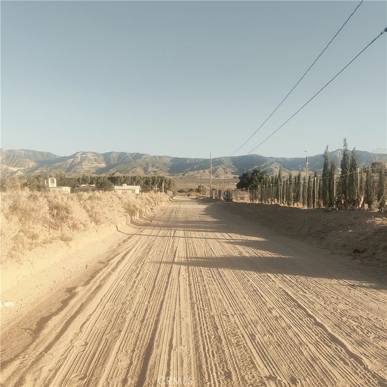 Picture 3