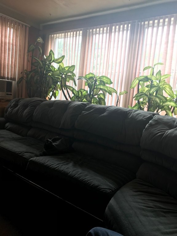 Picture 2