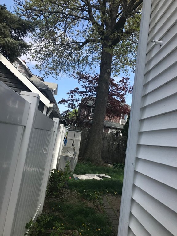 Picture 19