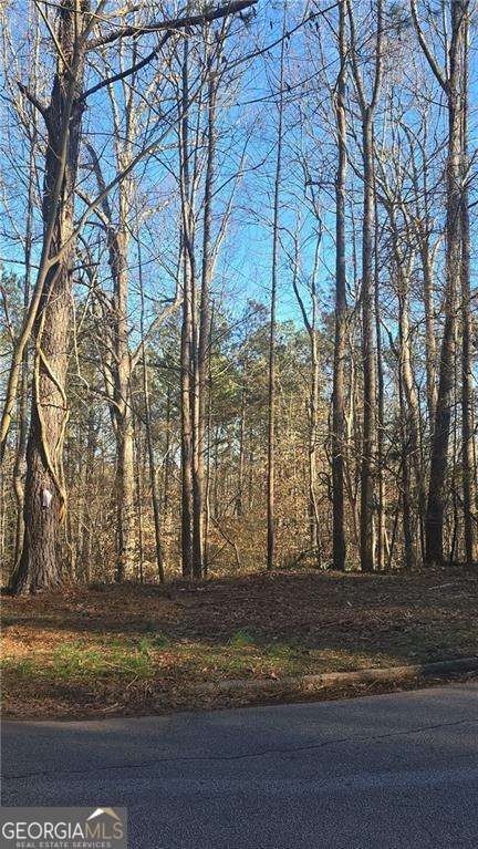 Land Opportunity in Snellville, GA