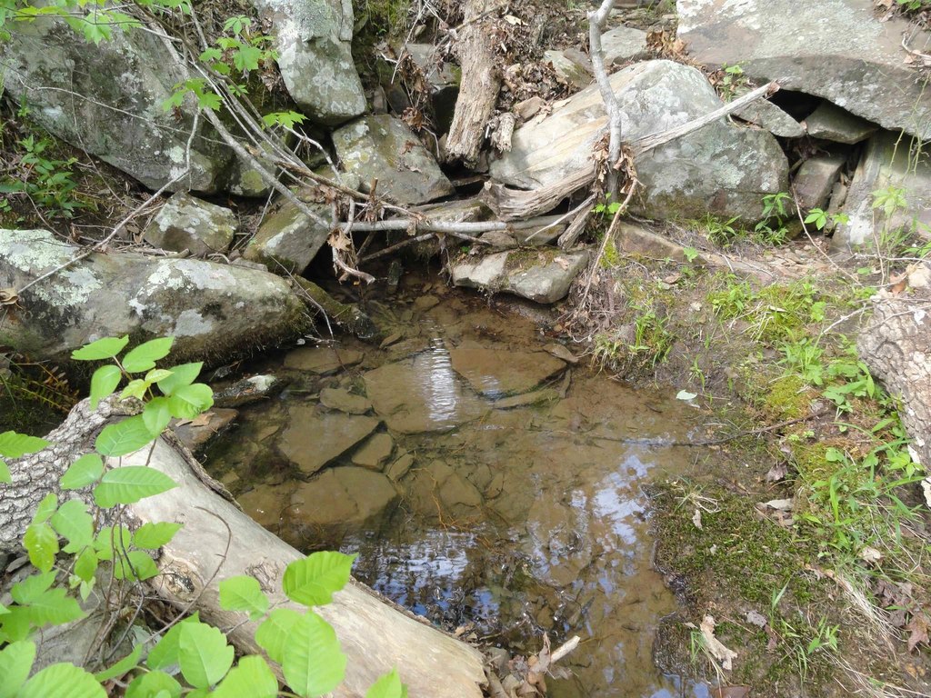 Picture 29