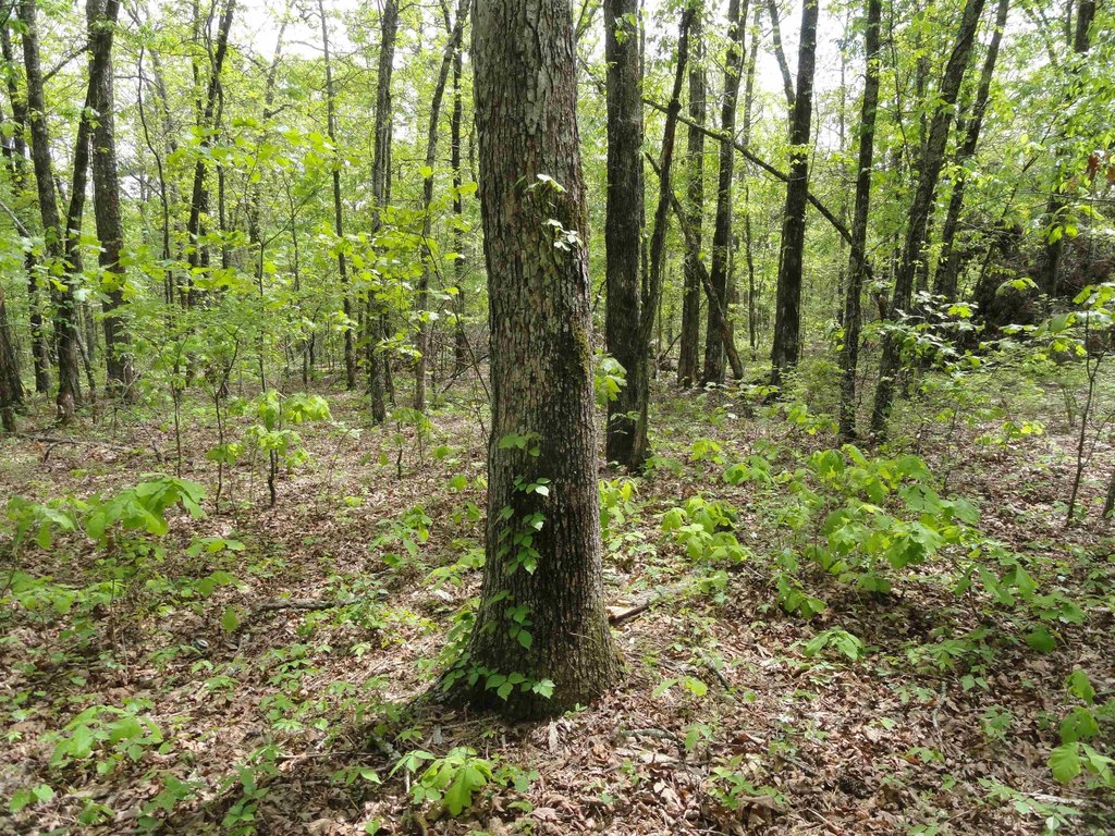 Picture 9