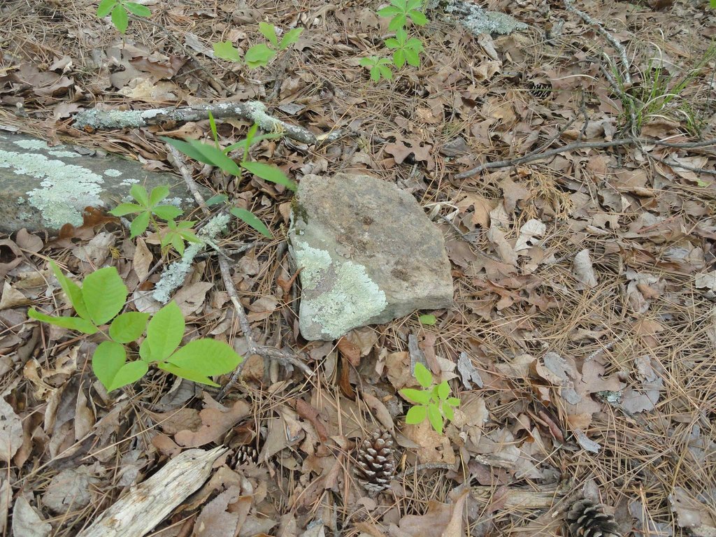 Picture 18