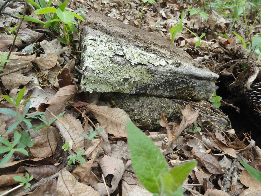 Picture 16
