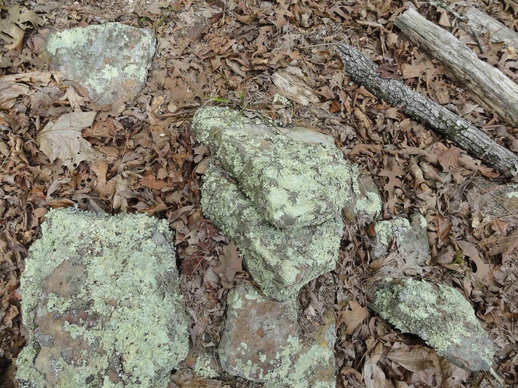 Picture 14