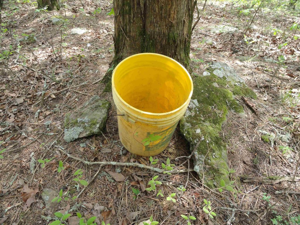 Picture 5