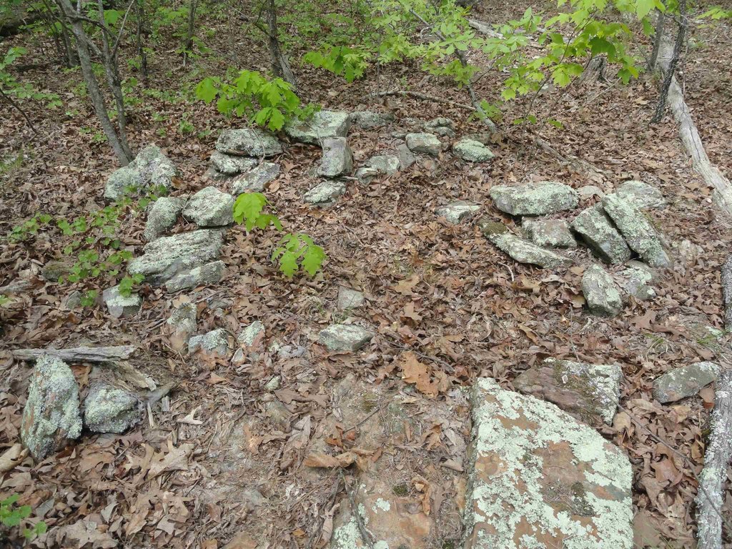 Picture 15