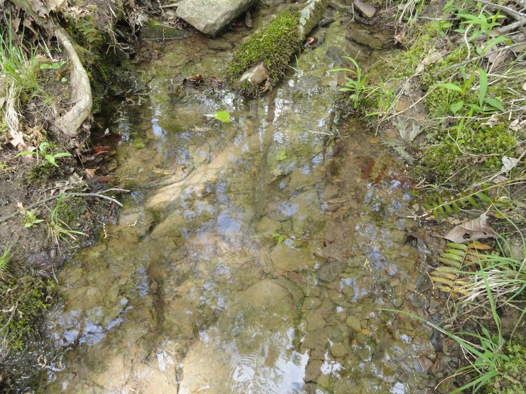 Picture 28