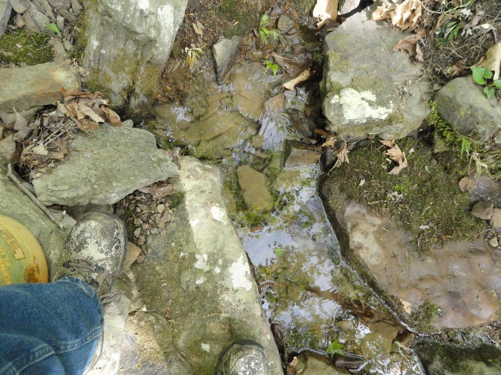 Picture 26