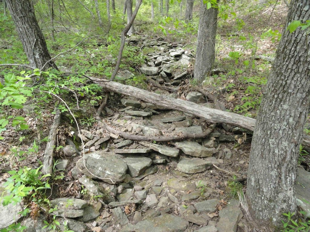 Picture 25