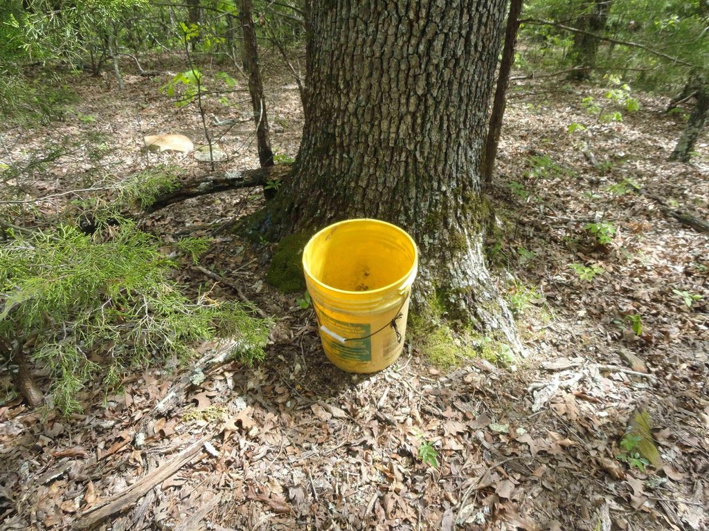 Picture 2