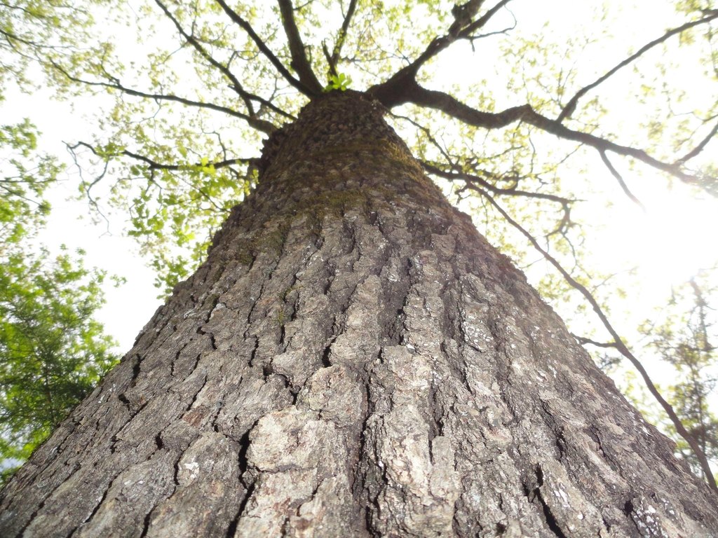 Picture 20