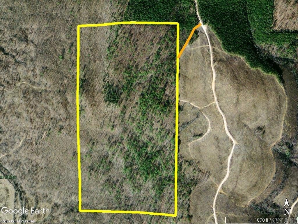 80 Acres of Timberland
