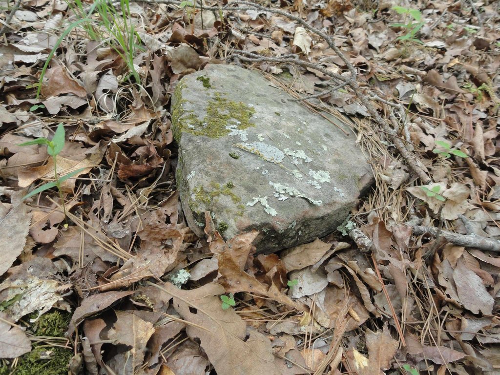 Picture 17