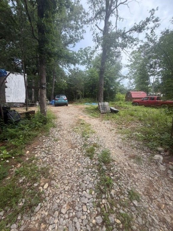 Picture 9