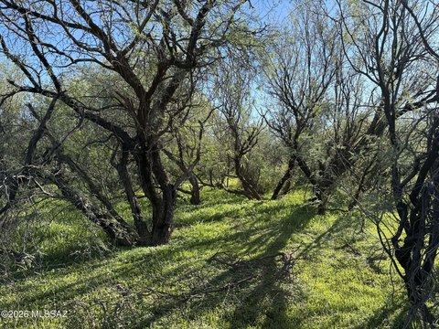 Tucson Land Ideal for Ranch