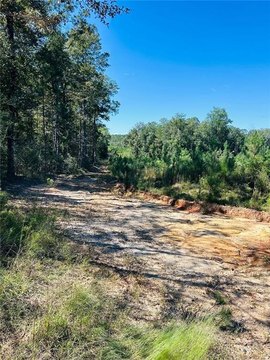 Wooded Recreational Land Tract