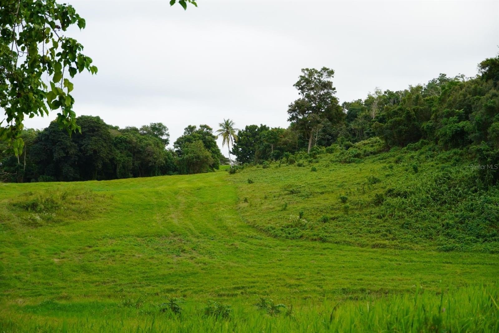 Mixed-Use Land in Quebradillas, PR