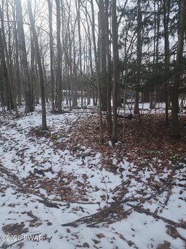 Residential Land Near Lake Wallenpaupack