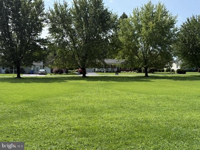 Picture 13