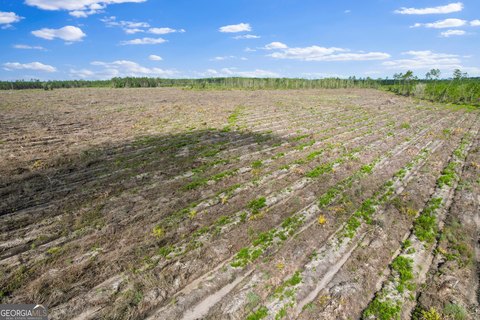 37 Acres in Wayne County