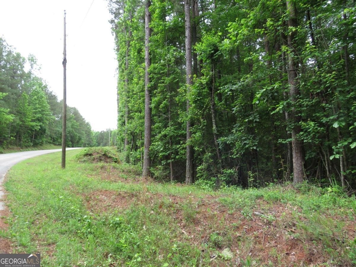 Residential Land in Dallas, GA