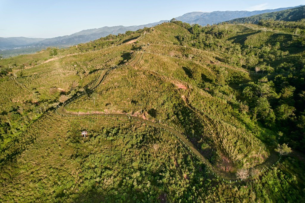 Picture 10