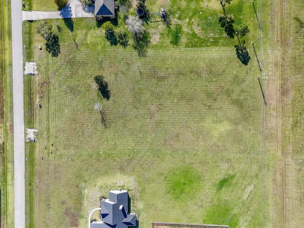 Picture 13