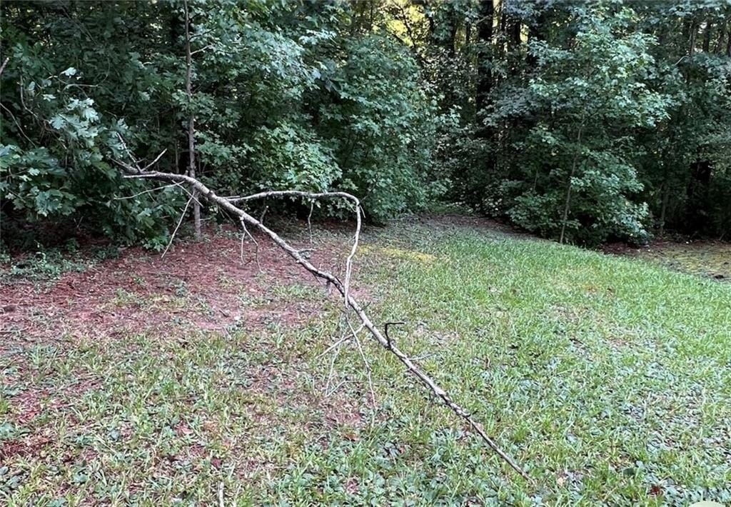 Picture 3