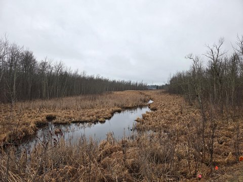 LAND - Longville, MN
