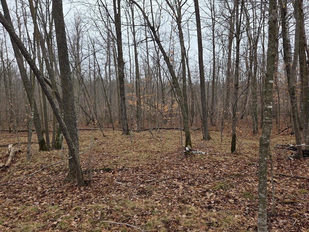 Picture 13