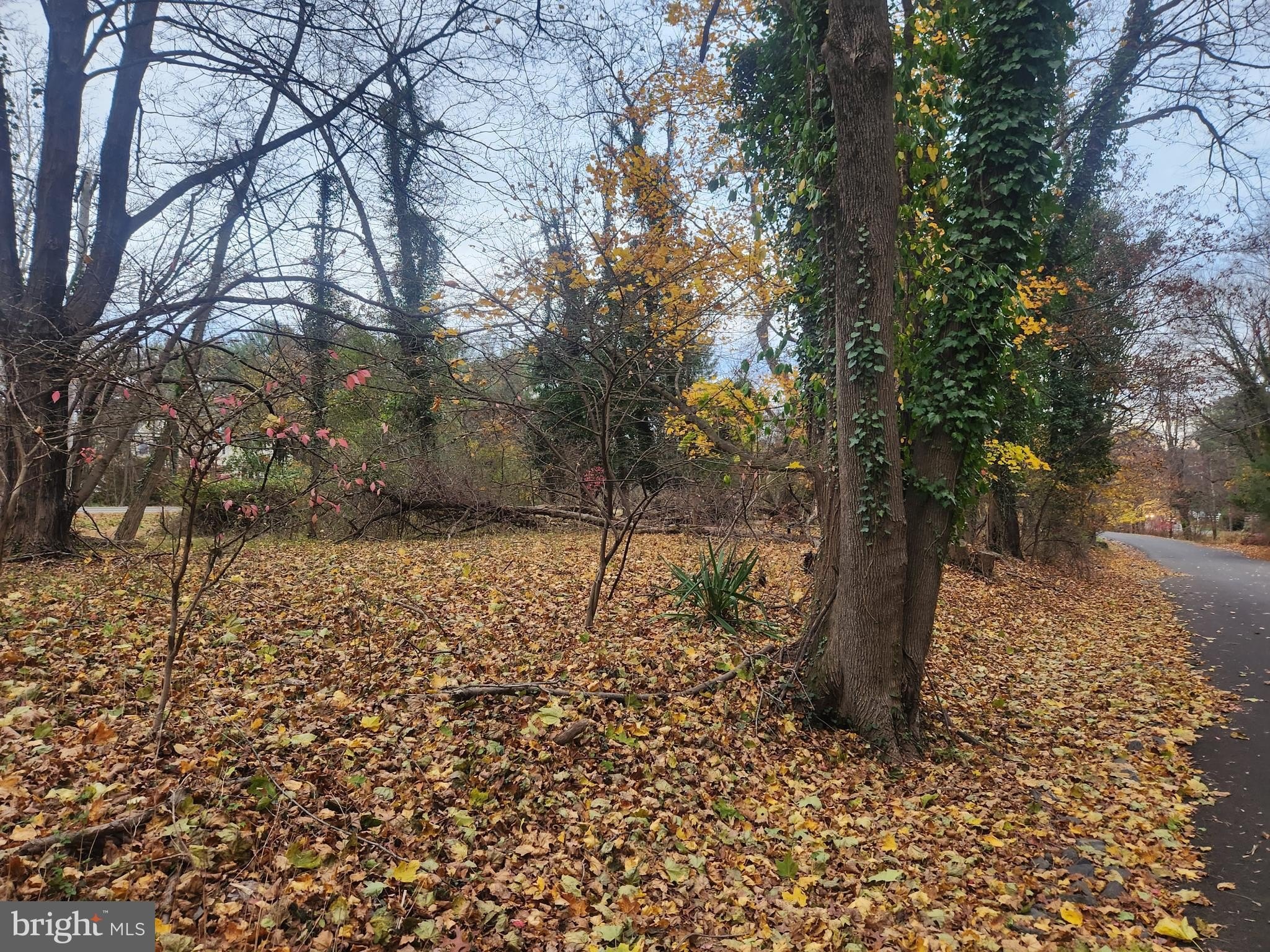 Residential Lot in Doylestown