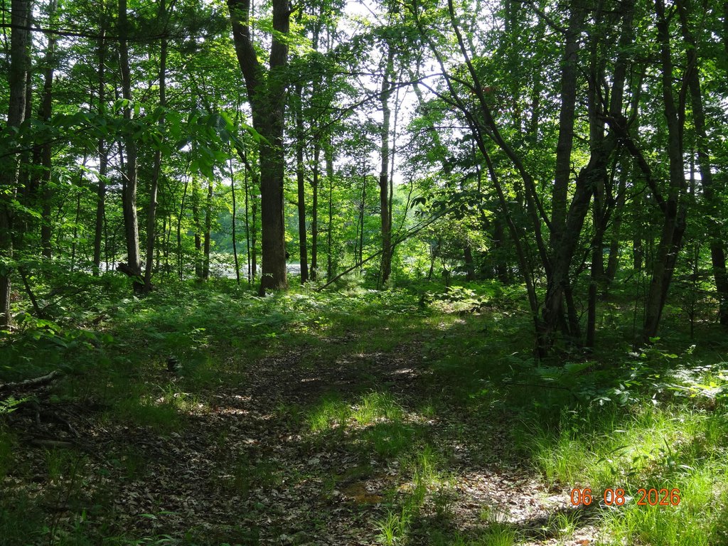 Picture 15