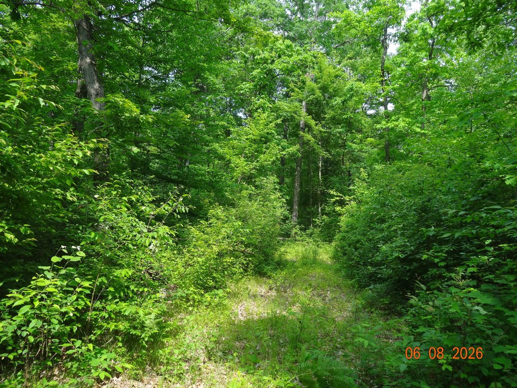Picture 8