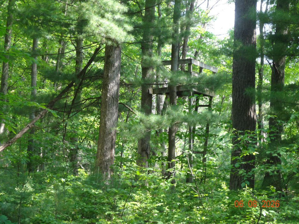 Picture 17