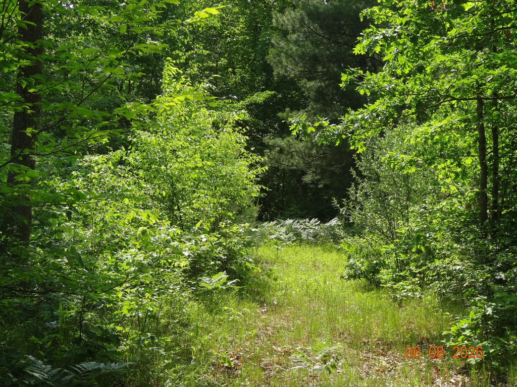 Picture 25