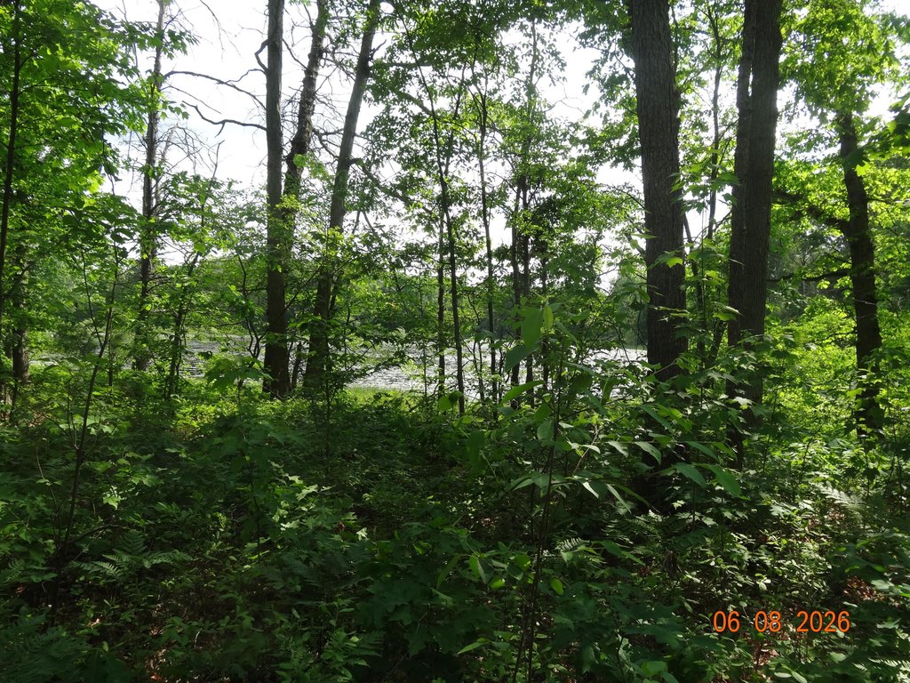 Picture 23
