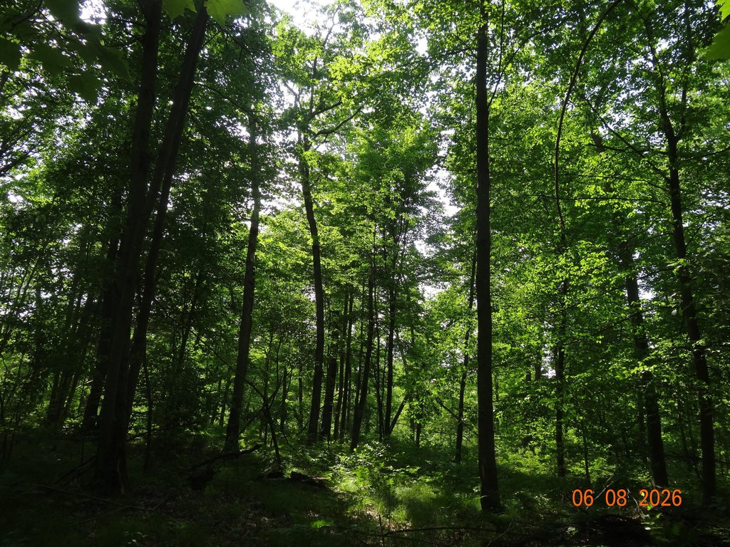 Picture 14