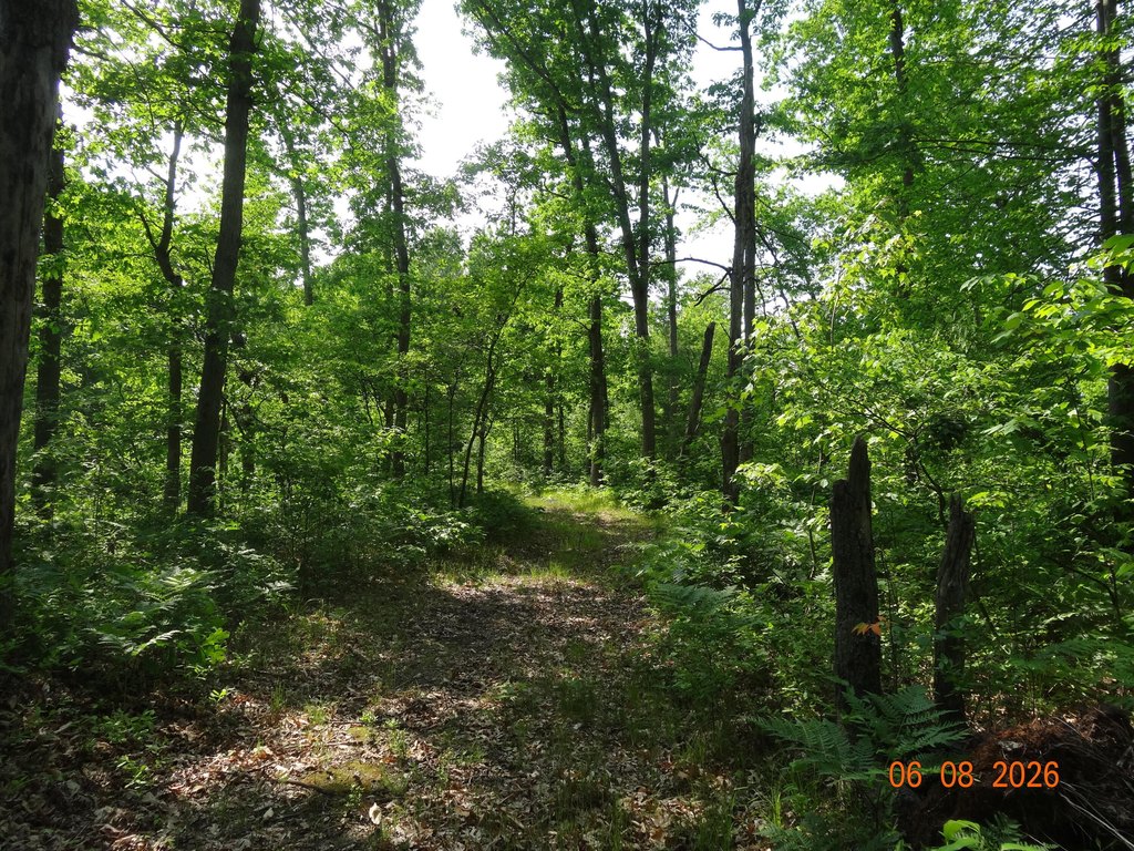 Picture 22