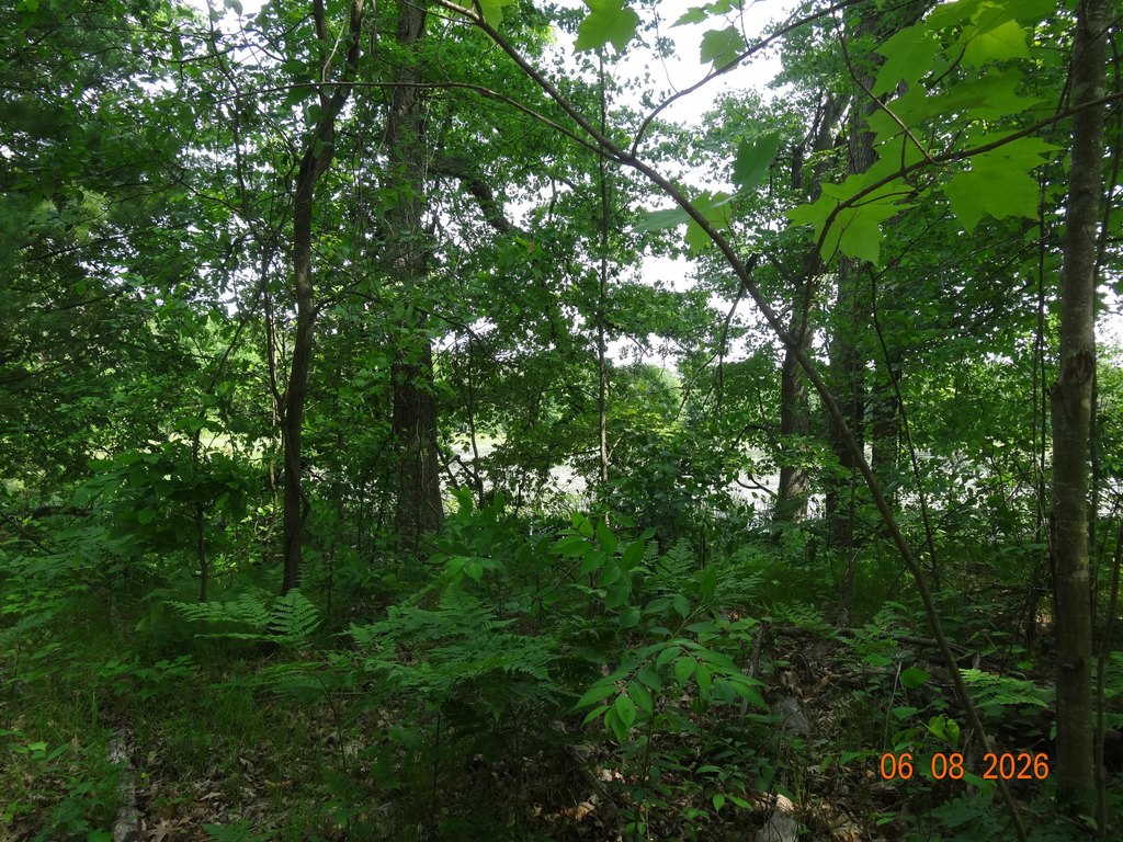 Picture 27