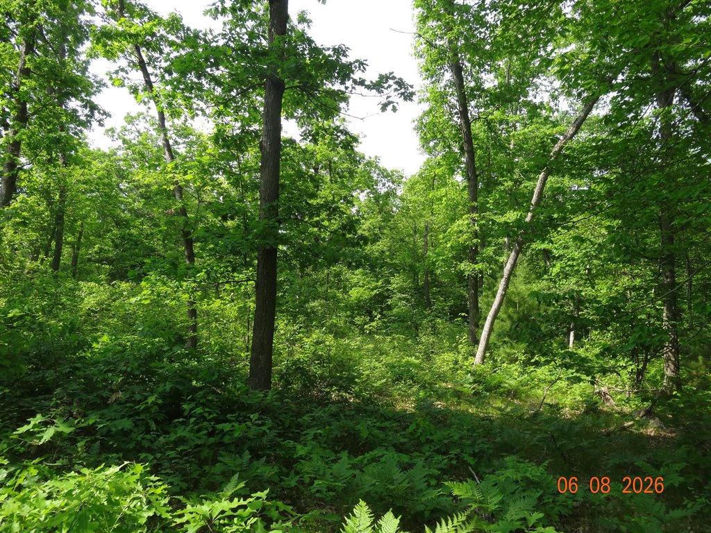 Picture 24