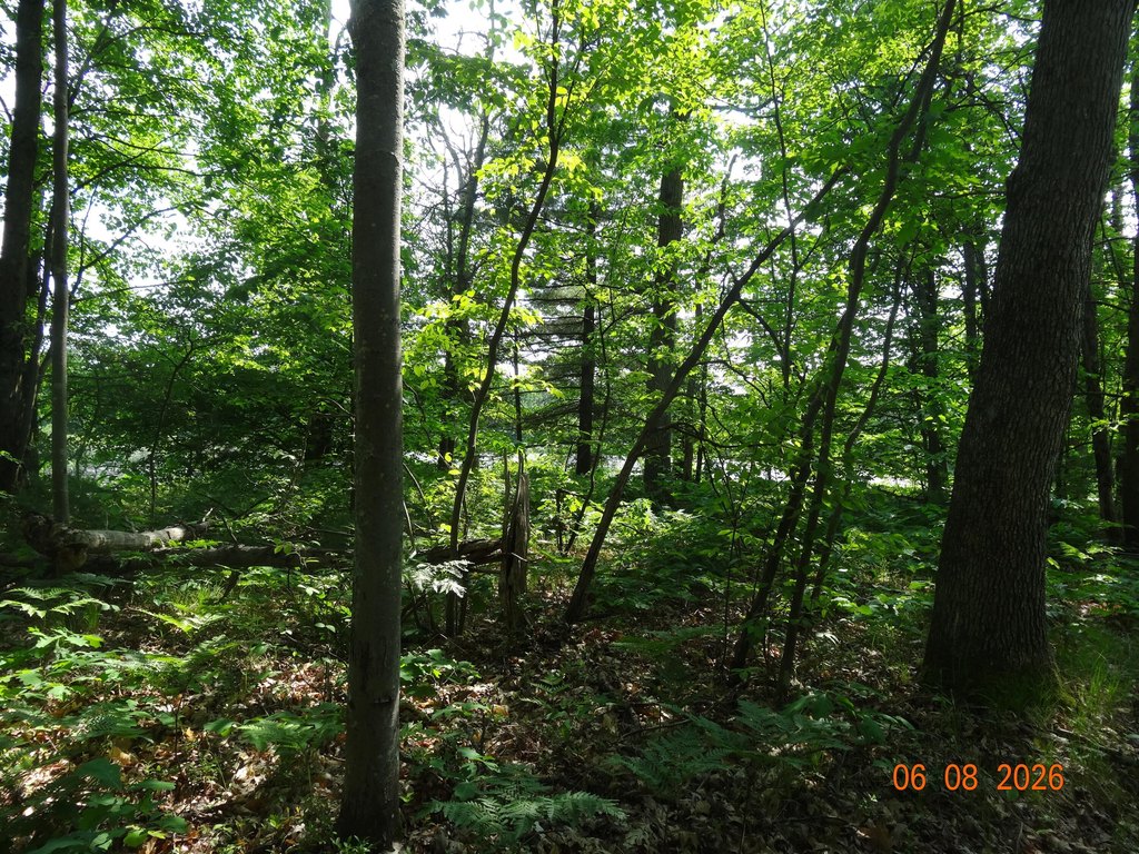 Picture 20