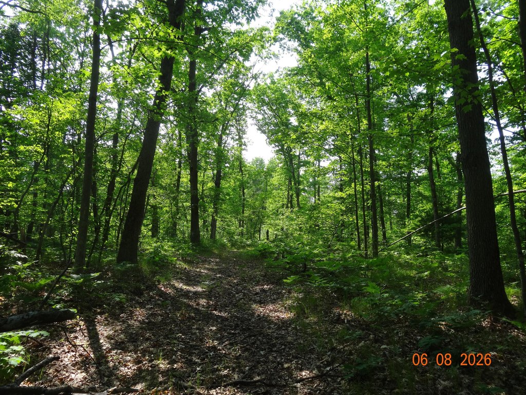 Picture 19